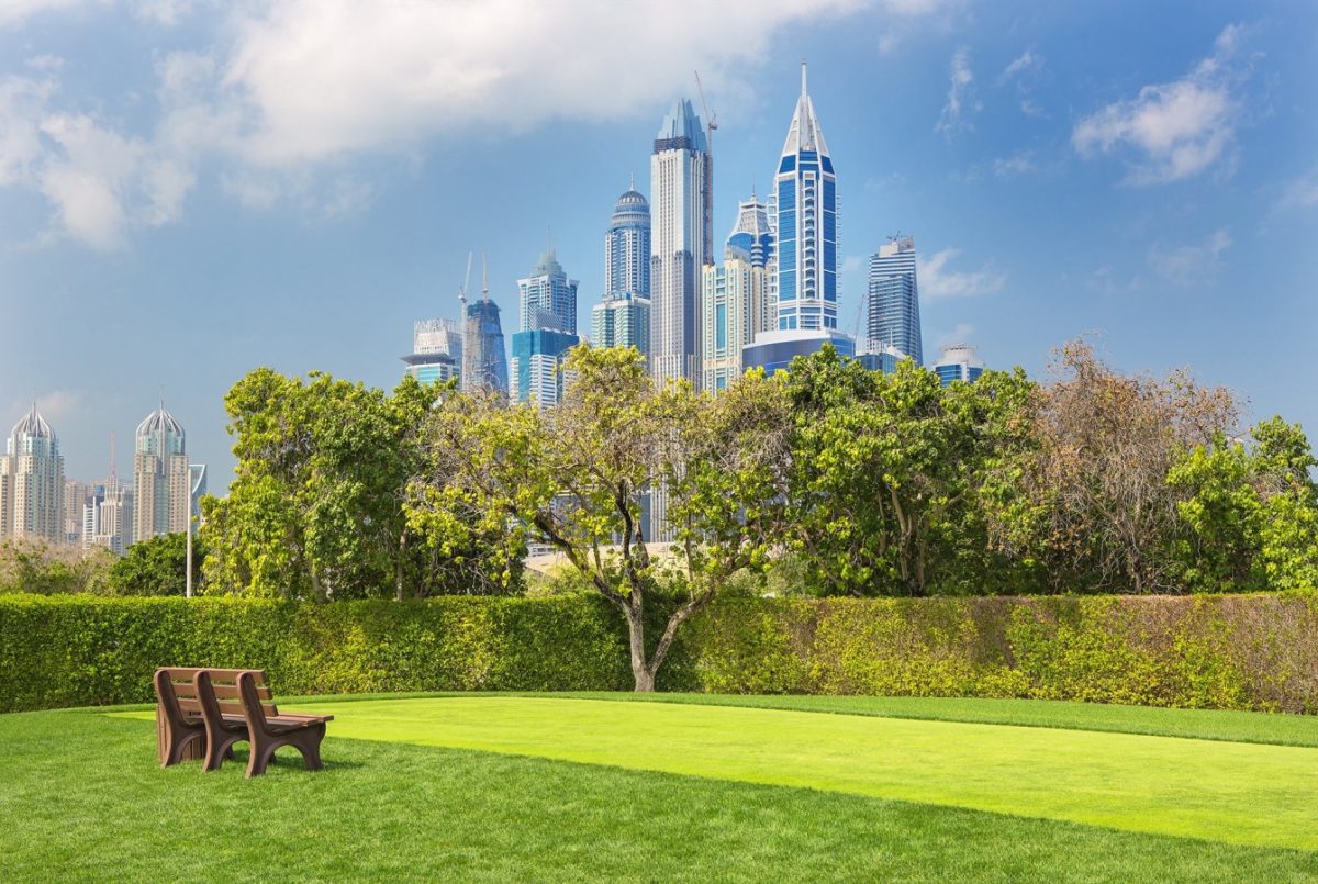 Значение экологии в сфере недвижимости в Дубае